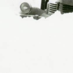 Spider Kitten : To Let the Winter In